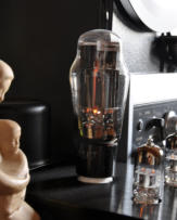 Add your one line caption using the Image tab of the Web Properties dialog